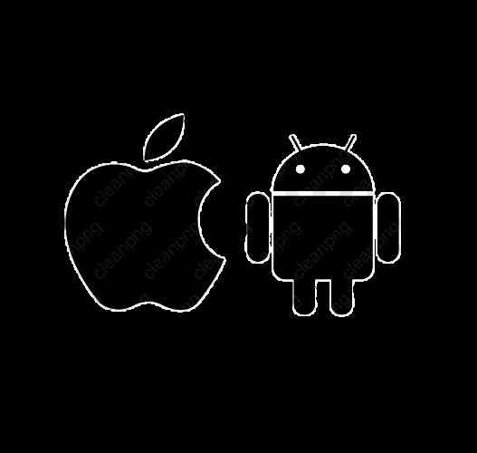 Dizayner Sadiy Design